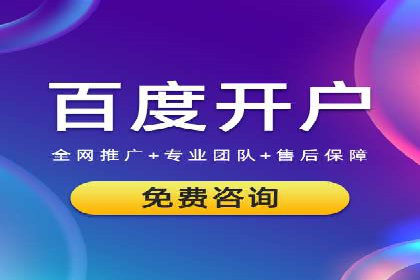 竞价SEM策略在金融行业的成功实践